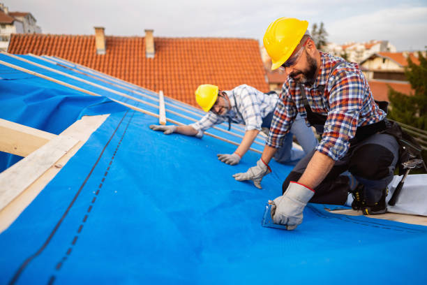 Best Gutter Installation and Roofing  in Riddle, OR
