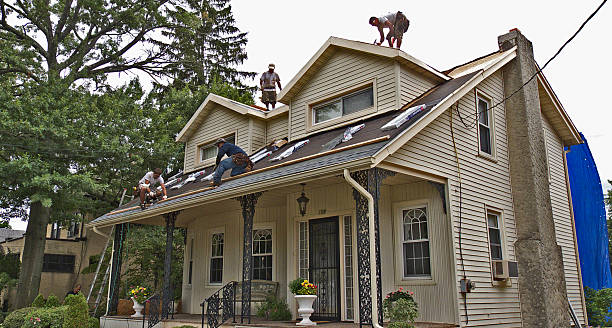 Best Storm Damage Roof Repair  in Riddle, OR